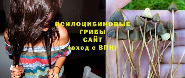 Альфа ПВП Алексеевка