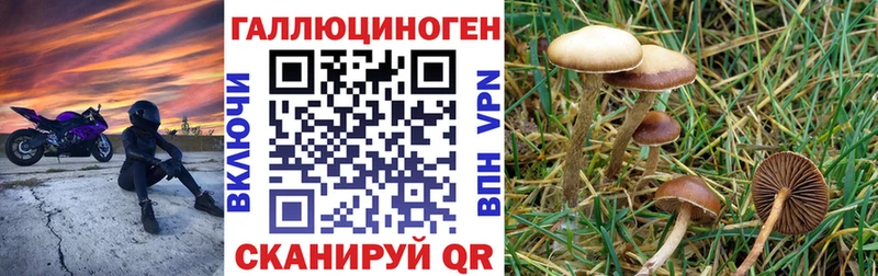 Псилоцибиновые грибы прущие грибы  Палласовка 